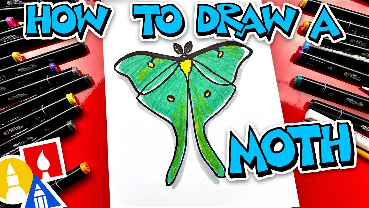 How To Draw A Moth