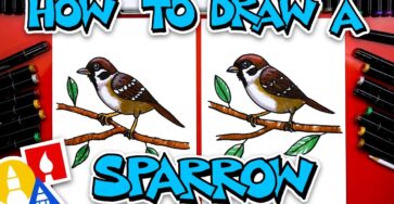 How To Draw A Sparrow