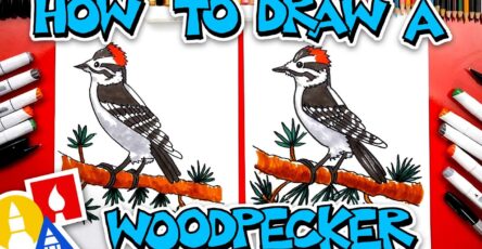 How To Draw A Woodpecker Bird